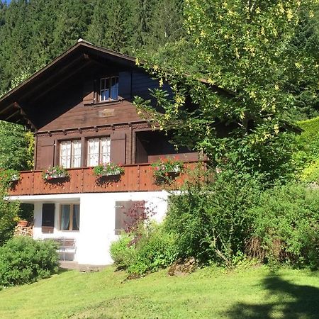 Ferienwohnung Betula Bad-Schwarzsee Ngoại thất bức ảnh